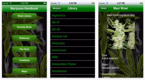 How to Build Marijuana Apps?