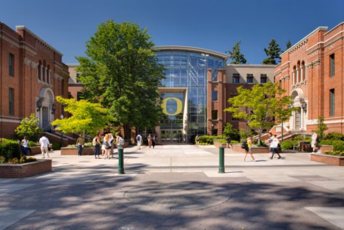 Scholarship Awarded Essay 2021