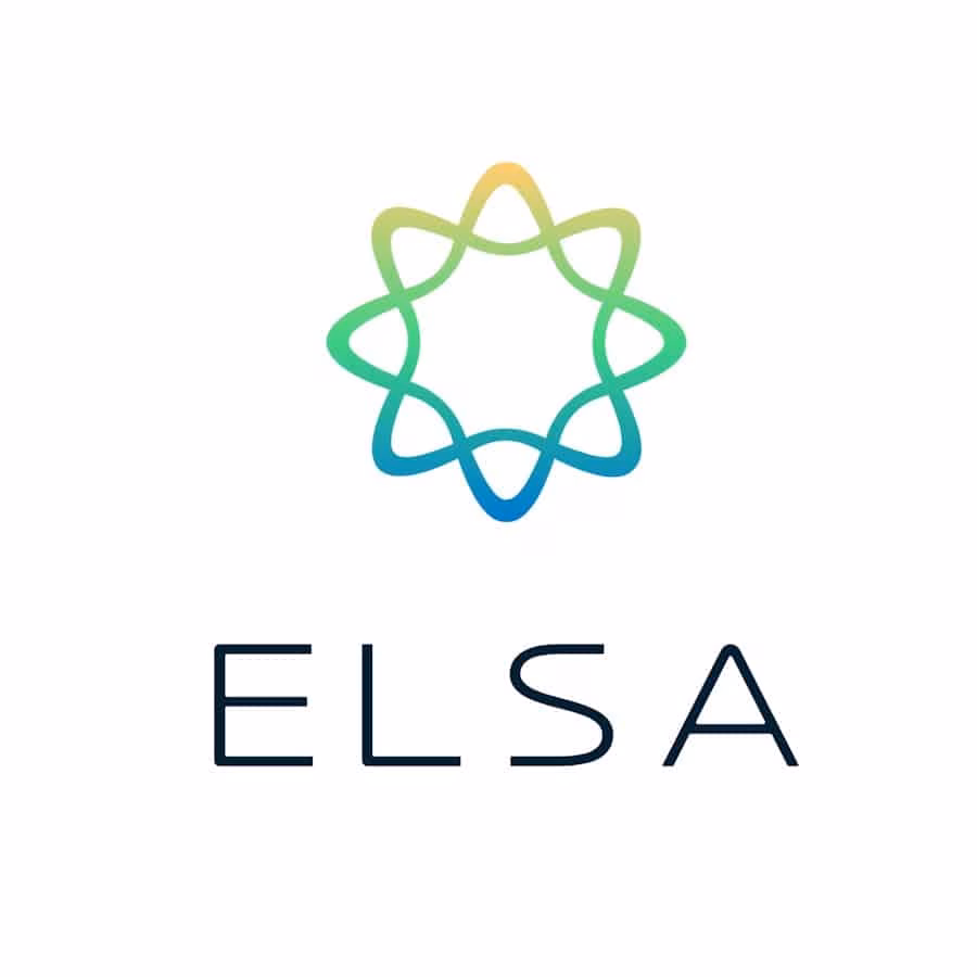 Elsa speak
