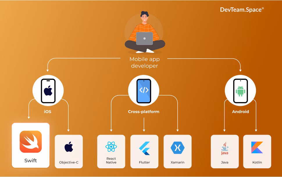 Image shows mobile app developer and the 3 main types of app development - Android, iOS, and Hybrid. Below each catagory are the main technologies of each Swift, Object C, Reach Native, Flutter, Xamarin, Java and Kotlin