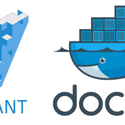 docker vagrant docker vagrant