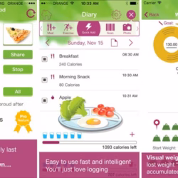 How to Make a Healthy Diet App?
