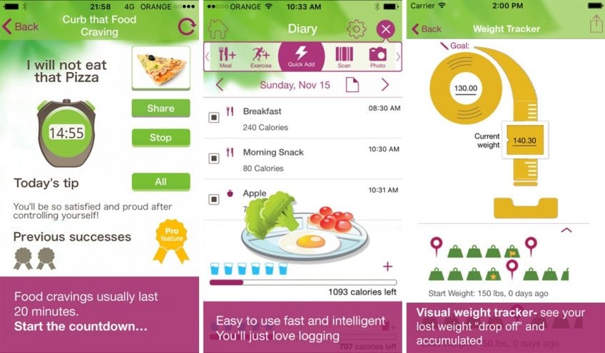 Diet Chart For Software Engineer