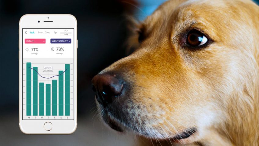 create a pet monitor app