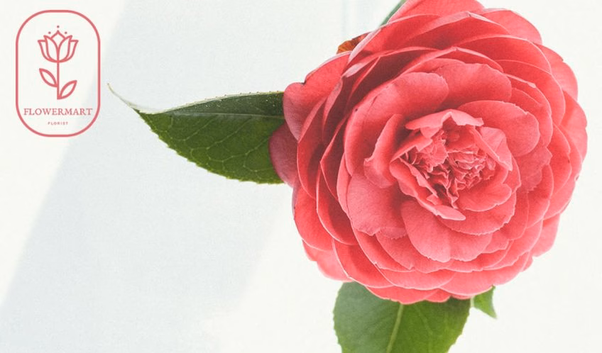 South Florals website