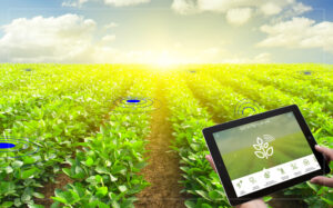 How to Build an ERP for Agriculture?