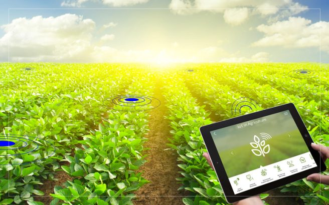 How to Build an ERP for Agriculture
