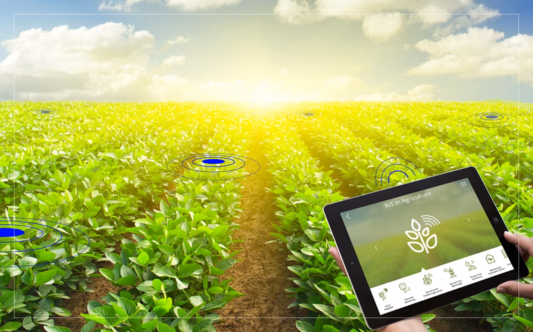 How to Build an ERP for Agriculture